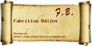 Fabritius Bálint névjegykártya